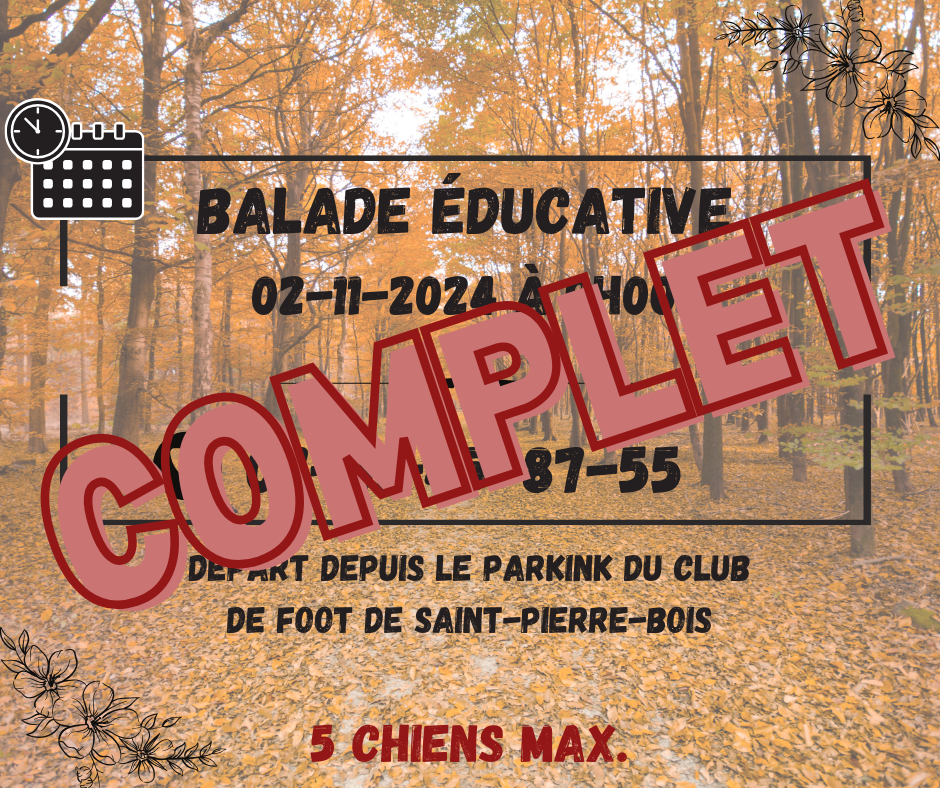 Balade educative v4 1