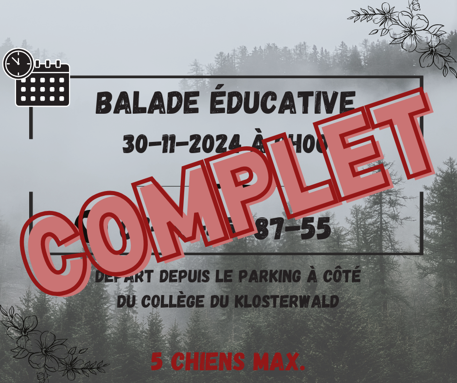 Balade educative v5