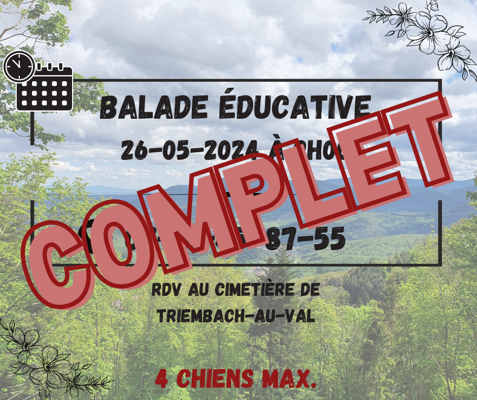 Balade educative