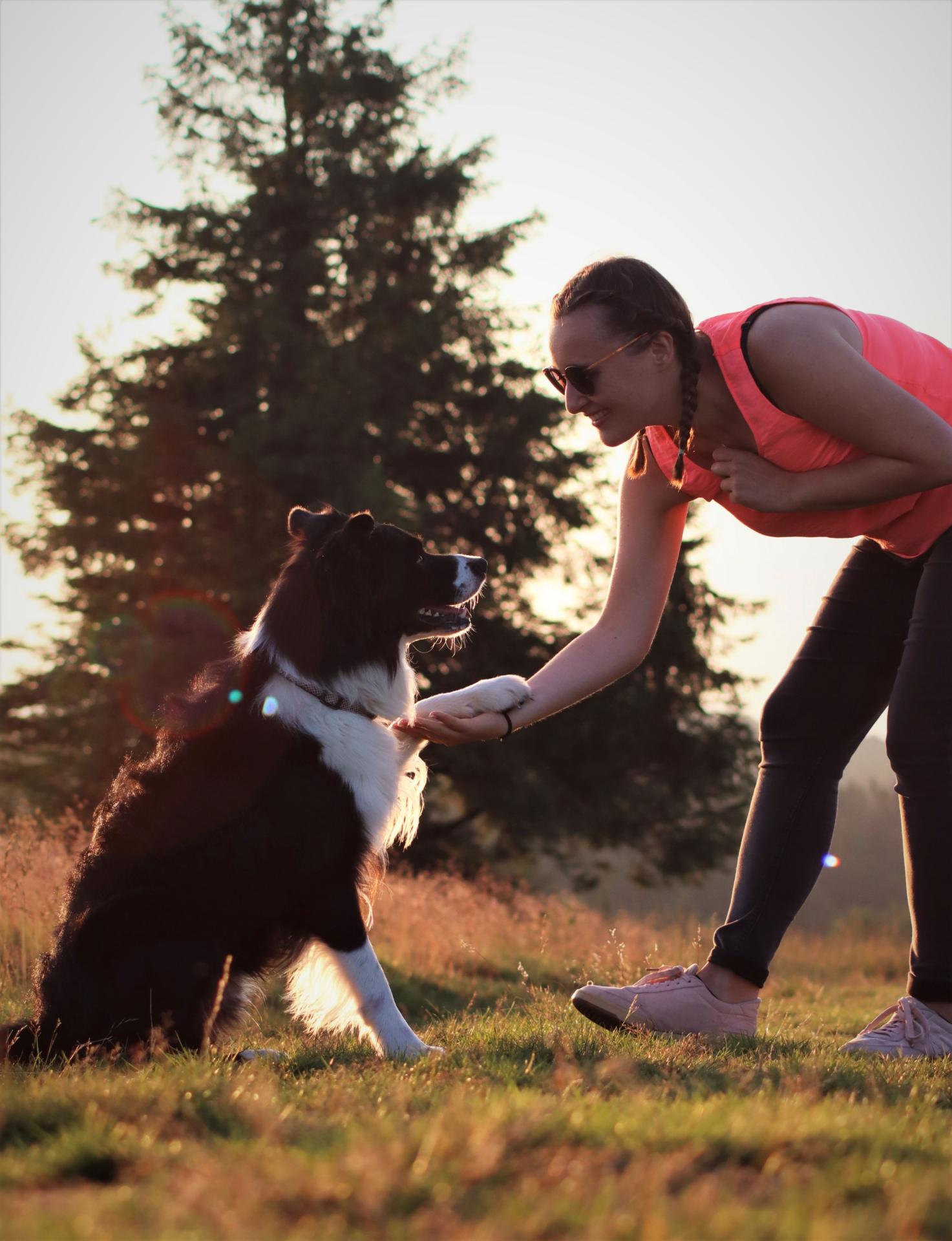 Émie & Oreo, main dans la patte - © Tous droits réservés – SCHUHLER Adrien